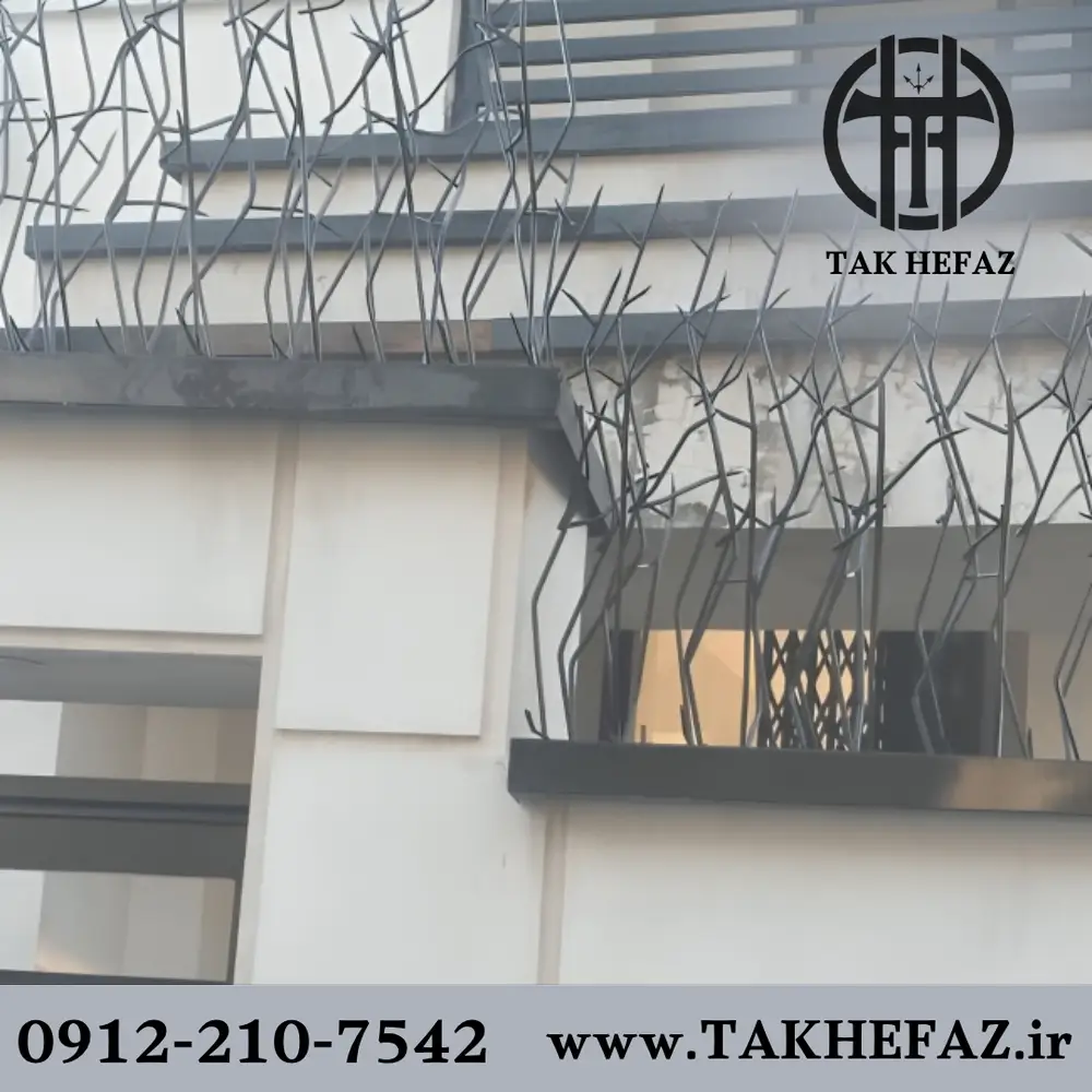 حفاظ شاخ گوزنی در شهریار- تک حفاظ